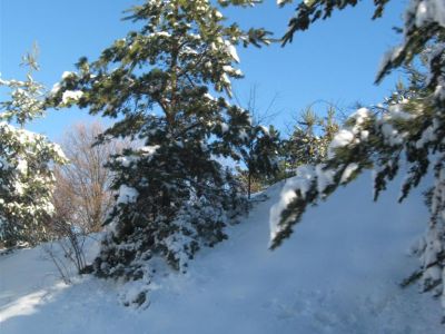 Снимка на деня 03.01.2026 г.