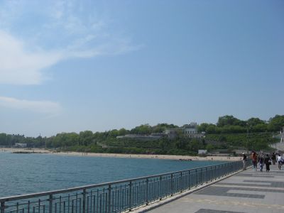 Снимка на деня 16.12.2025 г.