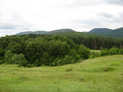 Снимка на деня 27.02.2026 г.