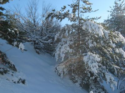 Снимка на деня 19.11.2025 г.