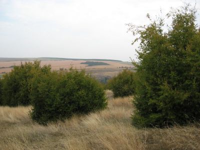 Снимка на деня 20.02.2026 г.