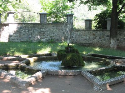 Снимка на деня 08.03.2026 г.