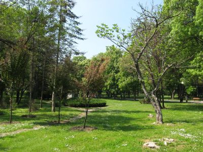 Снимка на деня 18.11.2025 г.