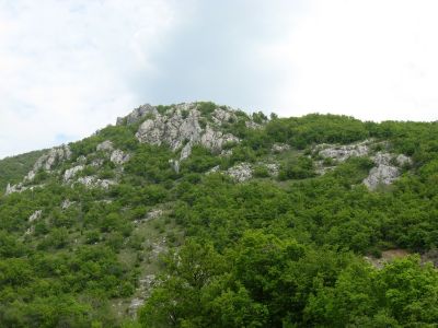 Снимка на деня 09.12.2025 г.