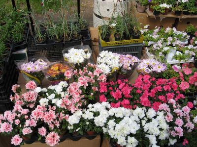 Снимка на деня 05.11.2025 г.