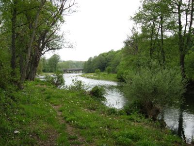 Снимка на деня 10.11.2025 г.