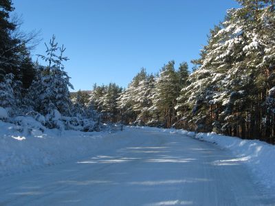 Снимка на деня 13.12.2025 г.