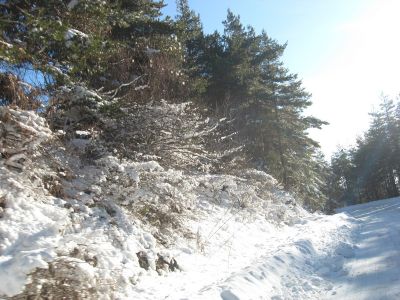 Снимка на деня 14.11.2025 г.