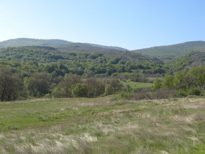 Снимка на деня 18.02.2026 г.