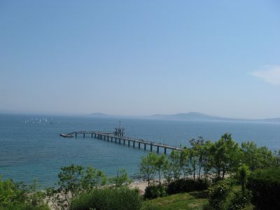 Снимка на деня 10.12.2025 г.