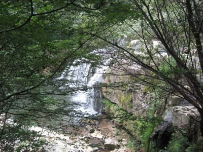 Снимка на деня 12.02.2026 г.