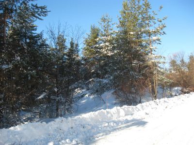 Снимка на деня 06.01.2026 г.