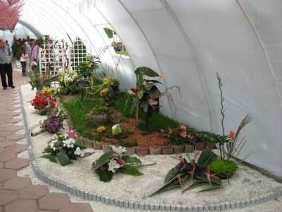 Снимка на деня 14.12.2025 г.