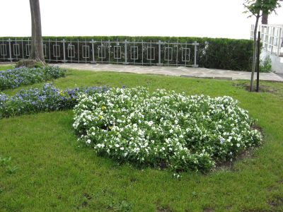 Снимка на деня 04.11.2025 г.