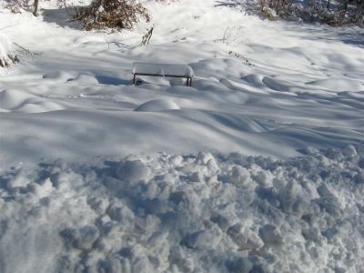 Снимка на деня 05.02.2026 г.