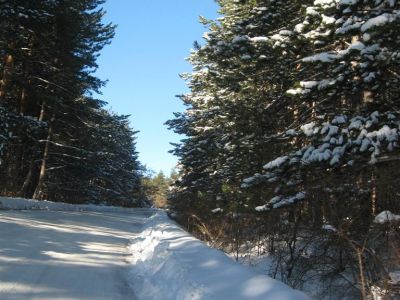 Снимка на деня 01.01.2026 г.