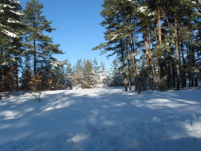 Снимка на деня 03.02.2026 г.