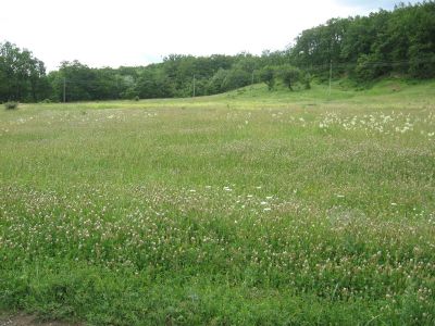 Снимка на деня 15.02.2026 г.