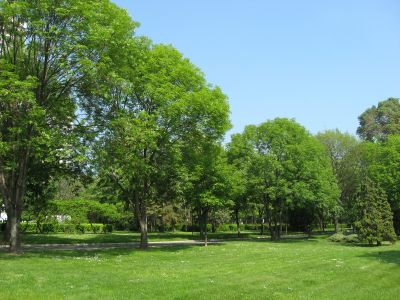 Снимка на деня 08.11.2025 г.