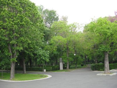 Снимка на деня 03.11.2025 г.