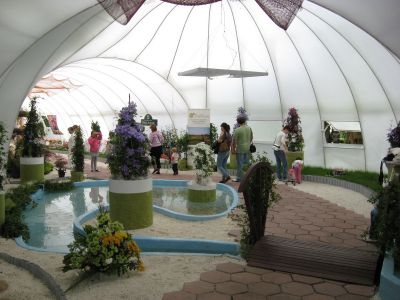 Снимка на деня 06.11.2025 г.