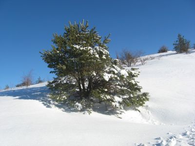 Снимка на деня 02.12.2025 г.