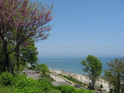 Снимка на деня 08.12.2025 г.