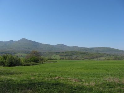 Снимка на деня 09.03.2026 г.