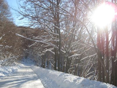 Снимка на деня 06.02.2026 г.