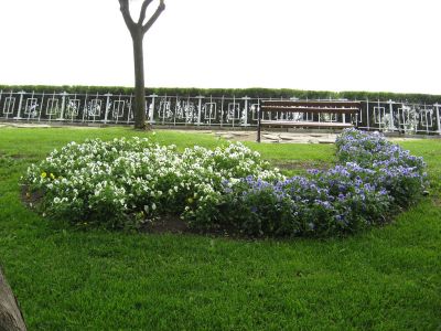 Снимка на деня 15.11.2025 г.