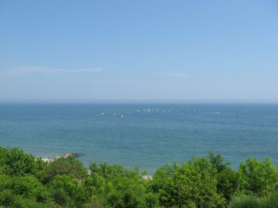 Снимка на деня 12.11.2025 г.