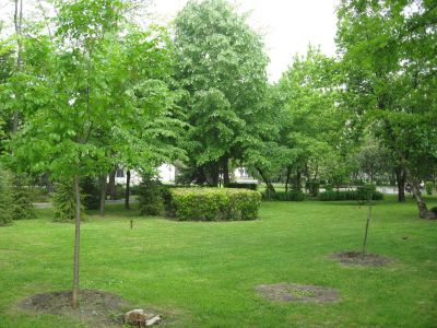 Снимка на деня 01.12.2025 г.